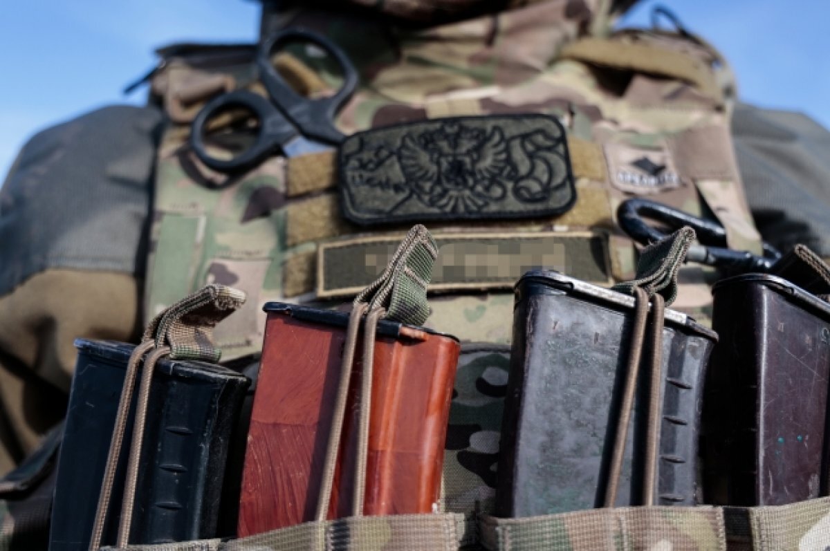    Рогов: добровольцы с Запада хотят участвовать в СВО на стороне России