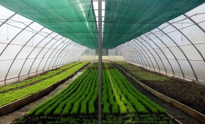 Хорошая затемняющая сетка - вот залог успеха! Рассказываю какая сетка для теплиц лучшая. 