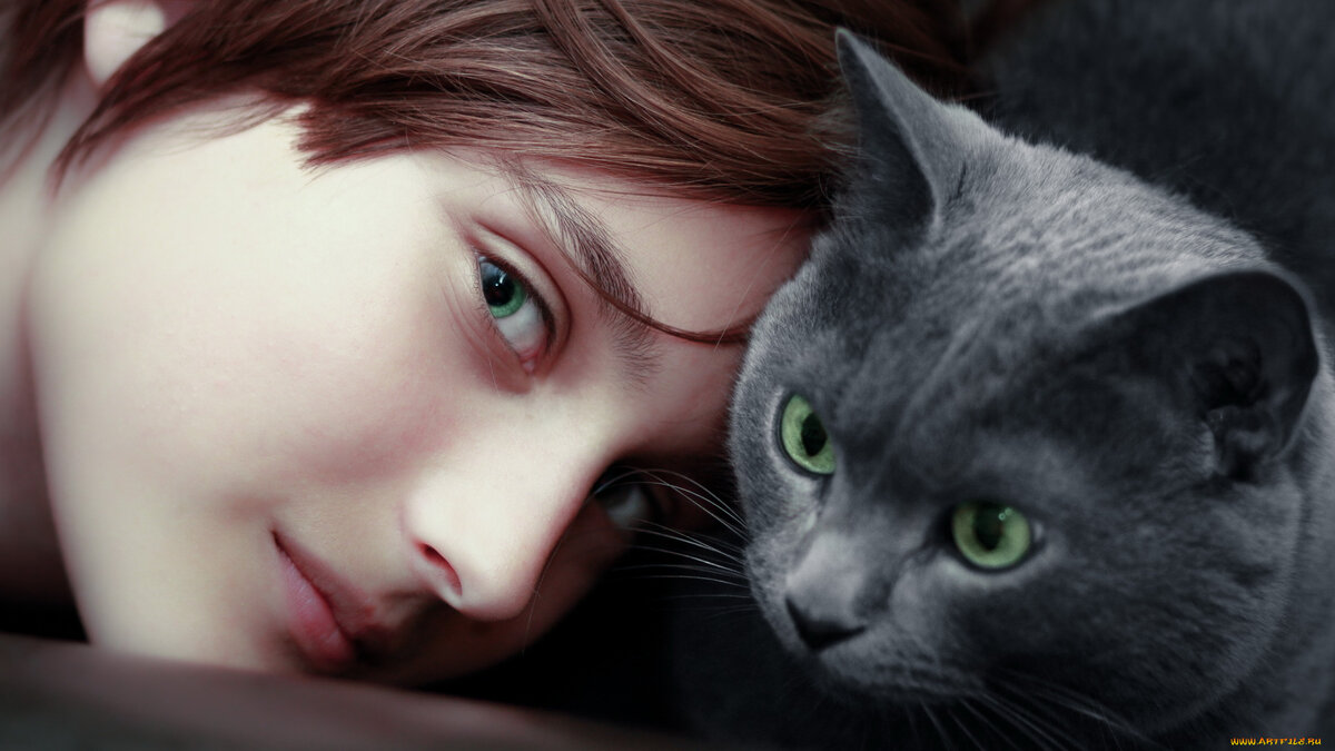 Кот  или дети?