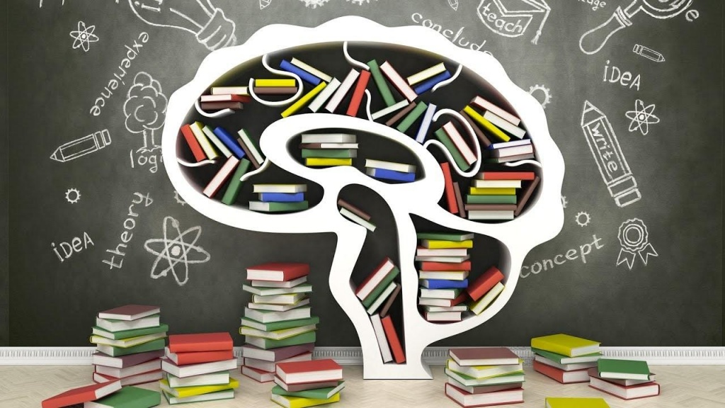 Фото взято из открытого источника