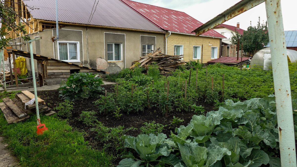 Дом, который купили в Горном Алтае за 2,4млн. Показываю что здесь можно  взять за такие деньги | Лодочник | Дзен