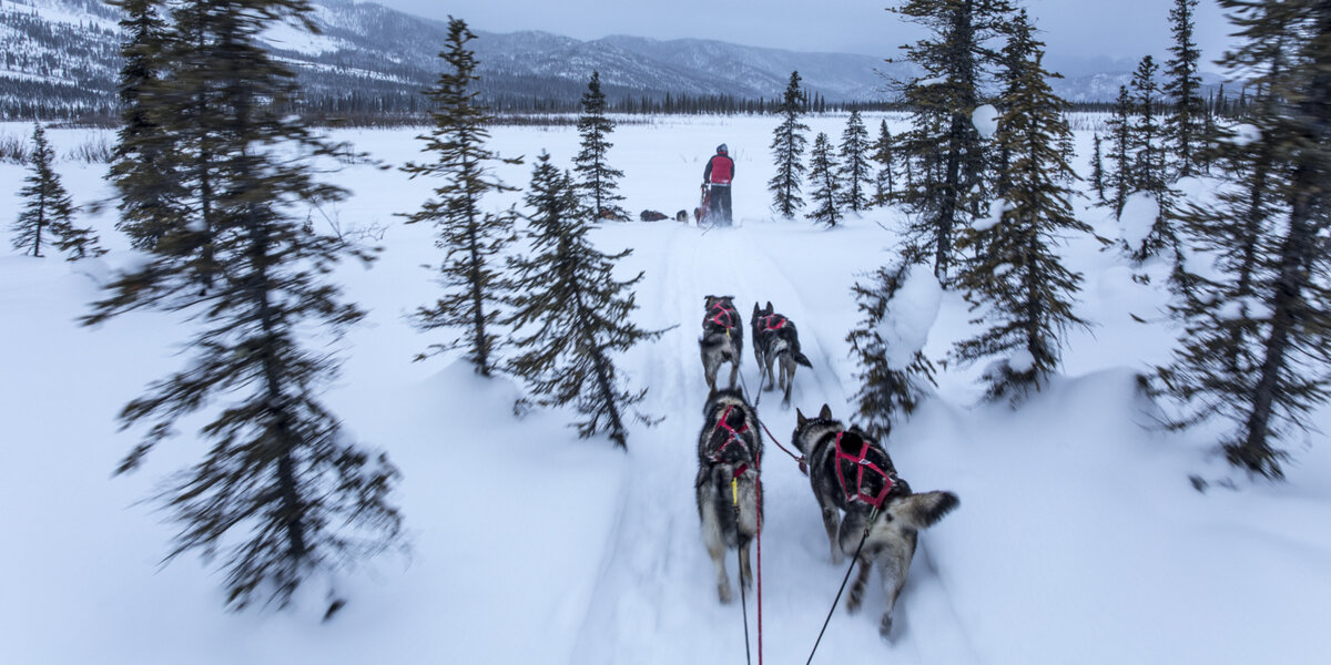 Фото сайта http://gofarnorth.com