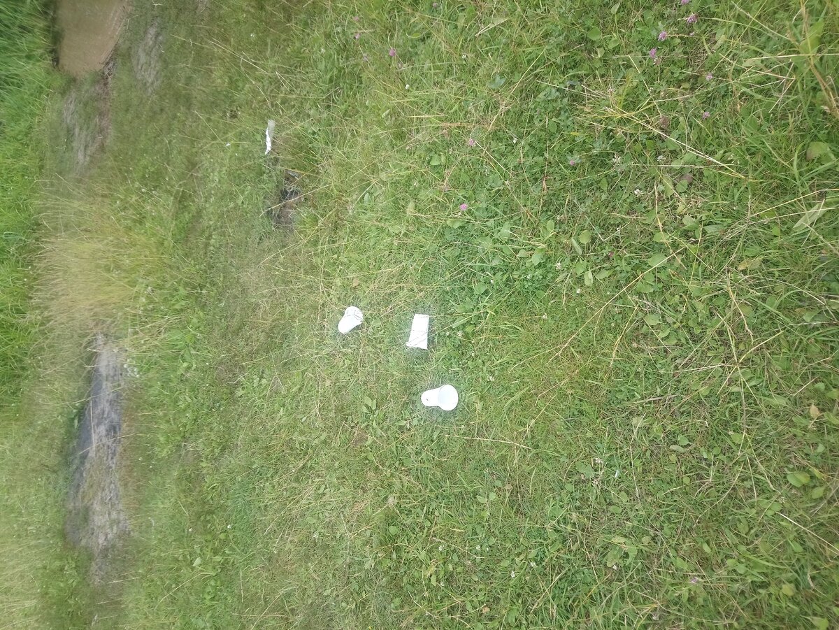 А вот мусор