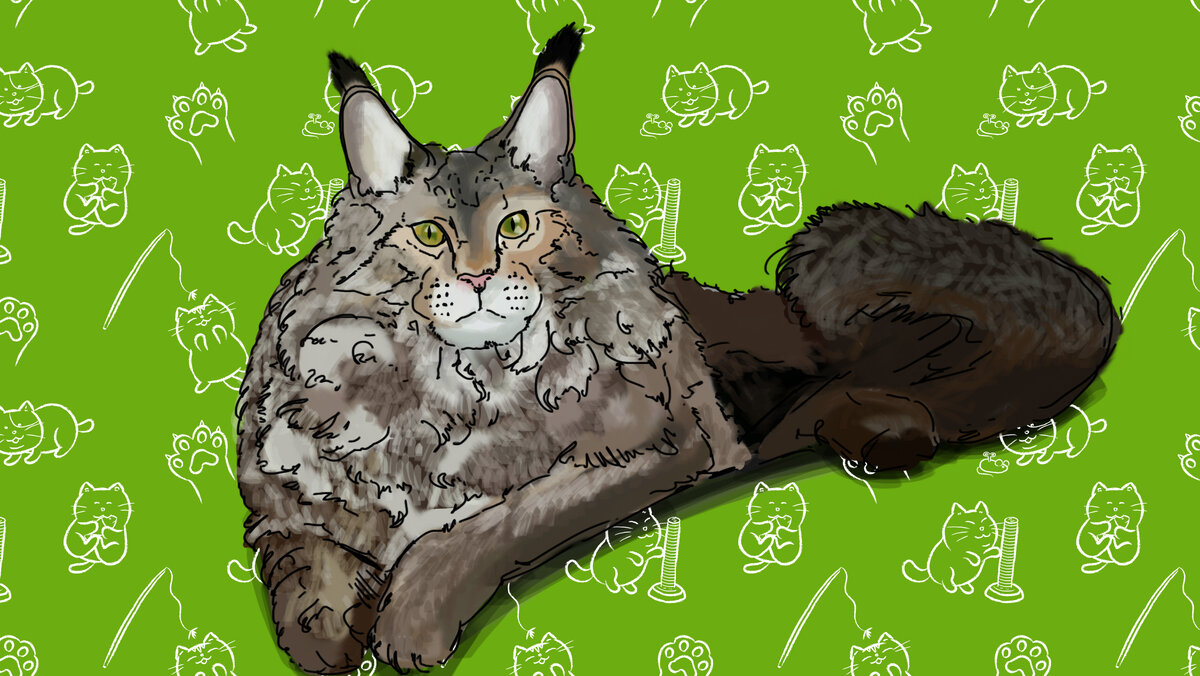 Фото: Анастасия Кеда, 66.RU