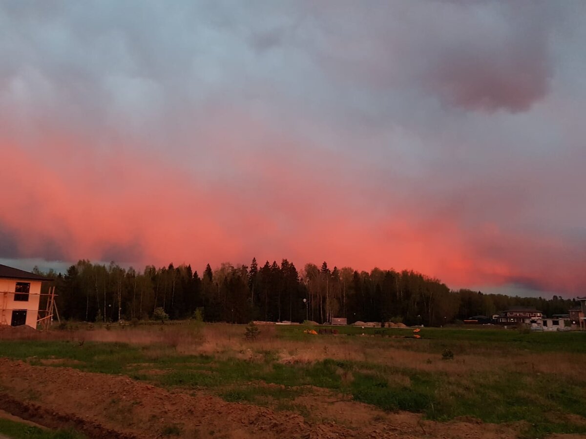 Фото нашего участка в первозданном виде не сохранилось, поэтому выкладываю фото соседского участка.  Летом трава по пояс.