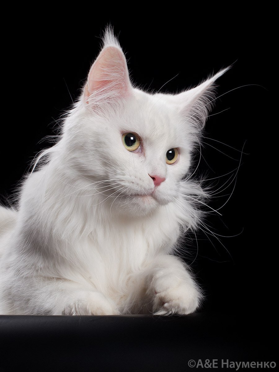 Мама нашего сокровища.