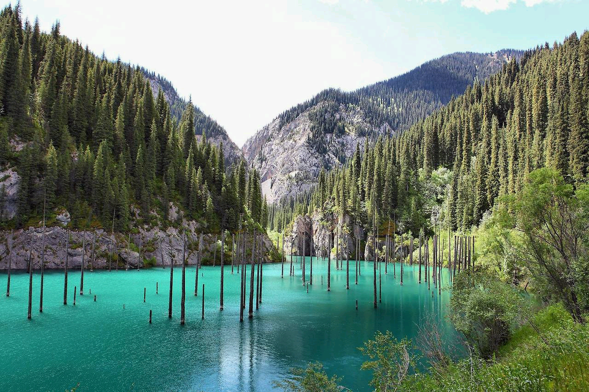 Озеро Каинды, Казахстан. Фото взято с https://fishki.net/1265316-fotopodborka-za-30042014.html?sign=354939982842942%2C286478856924201