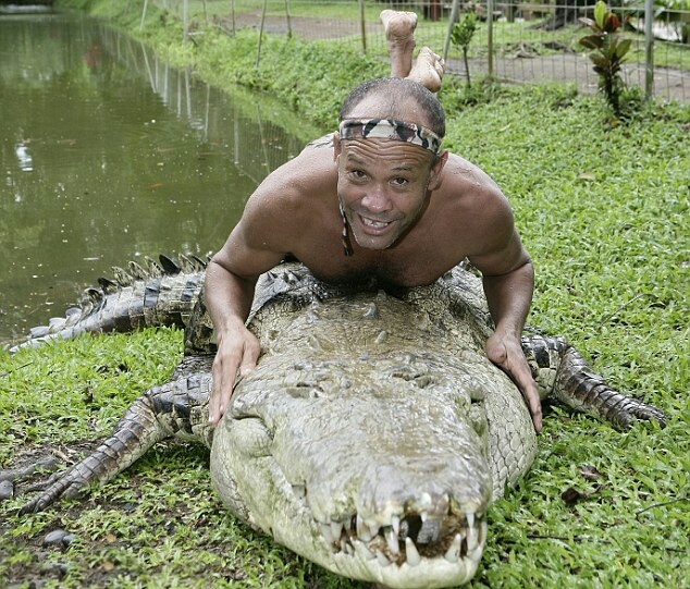 Изображение взято из свободных источников
