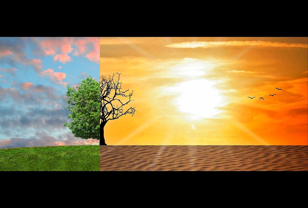 https://pixabay.com/ru/