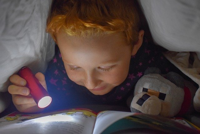 Изображение взято с сайта pixabay.com