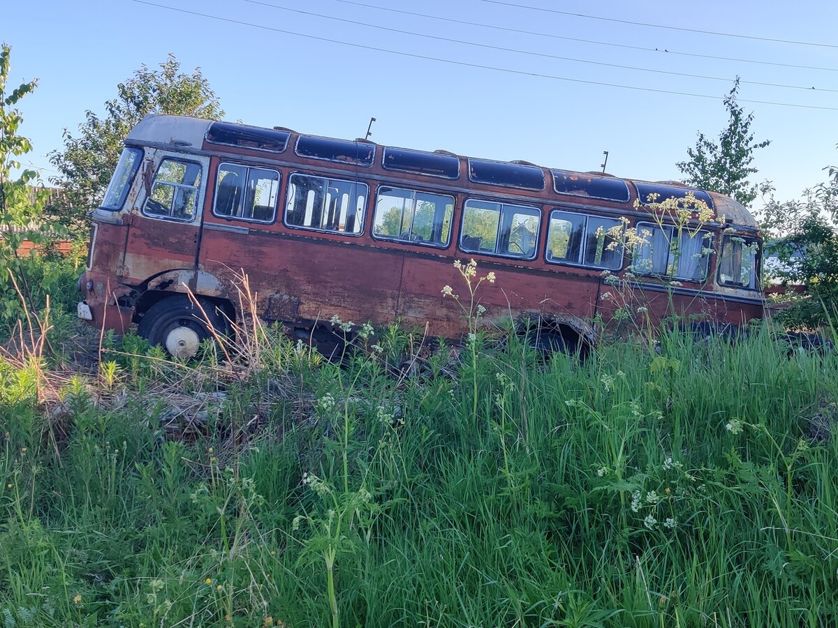 Сенсация! Один из первых автобусов ПАЗ-652 найден и спасен! | Мир  городского транспорта | Дзен