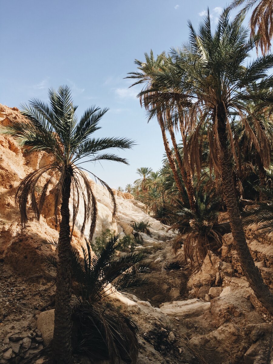 Из личного архива