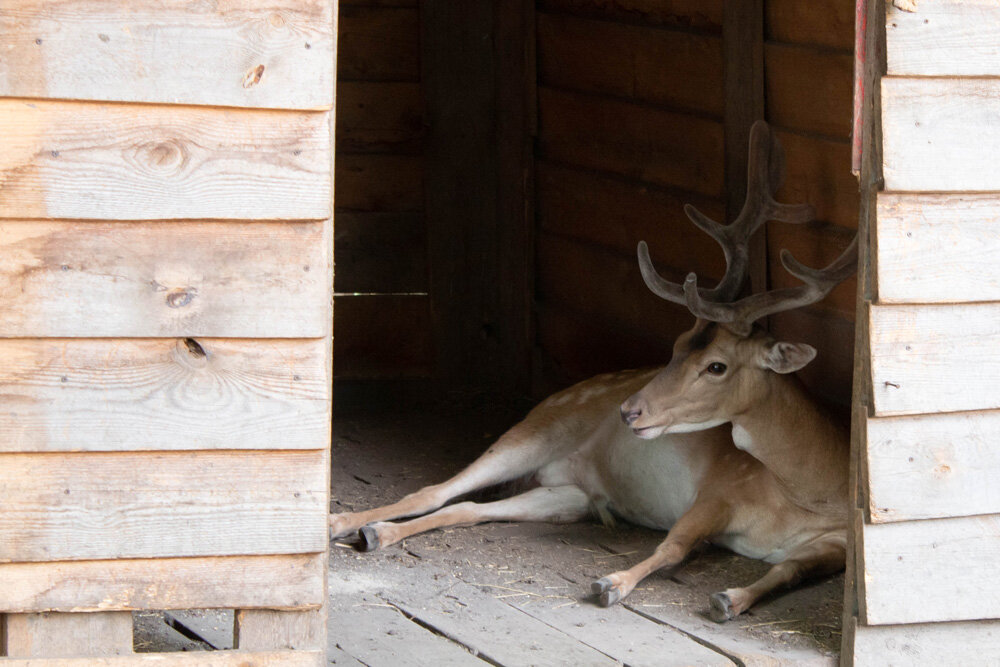 Фото из личного архива