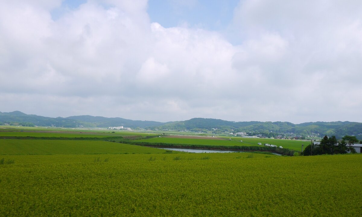 остров ики япония