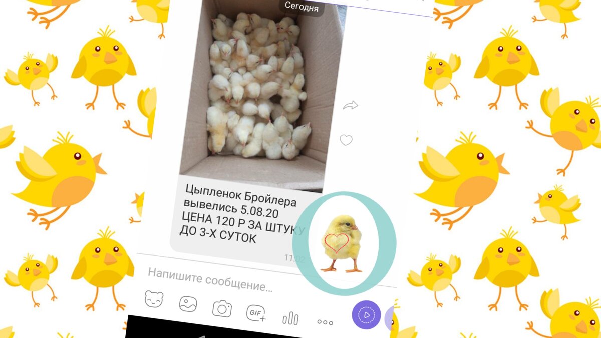 Та самая "объява", что навела на мысли и строгий расчет. Подписывайтесь на канал и оцените статью после прочтения!