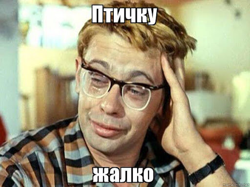 Шурик жалеет моба в фильме Кавказская пленница