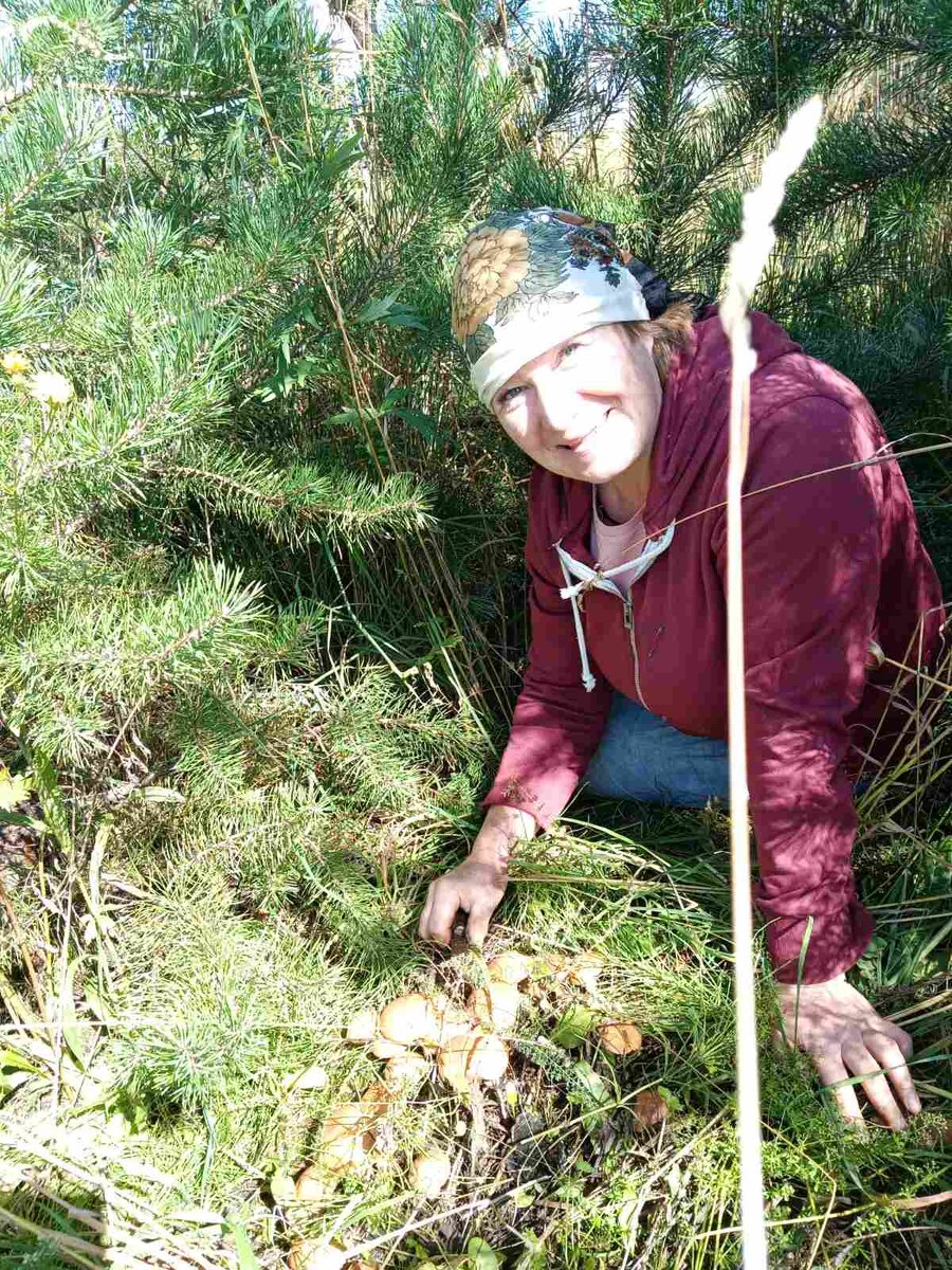 Всем грибов хватит, на Урале этого добра навалом. 