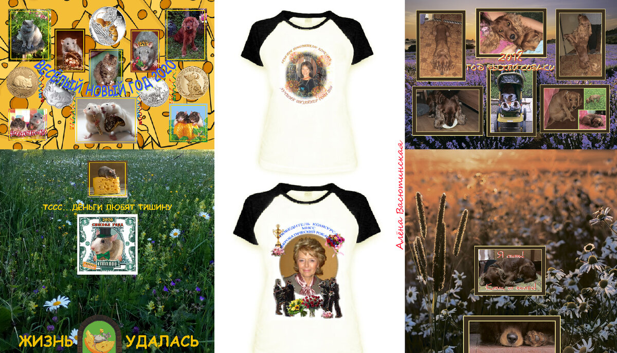 Мои таланты. Дизайнер компьютерной графики. Лена Ласточкина