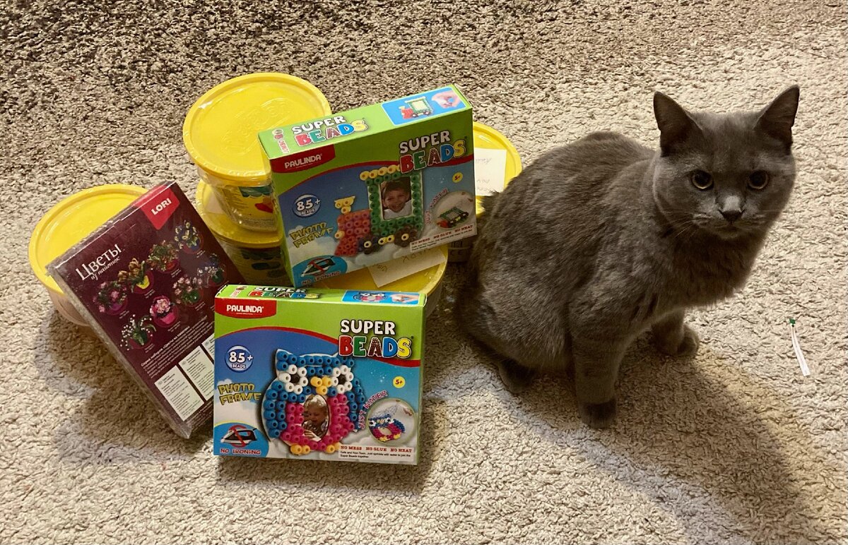 Еще была сова и цветы из пайеток. Кот личный, не подарочный, просто весьма любопытный))