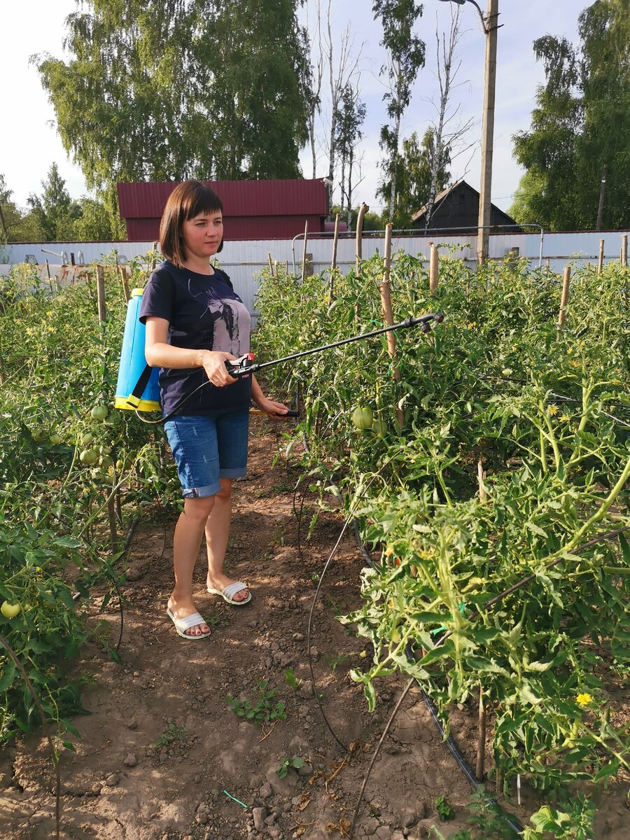 Что должно быть в садовой аптечке огородника. | Огородник из Рязани | Дзен