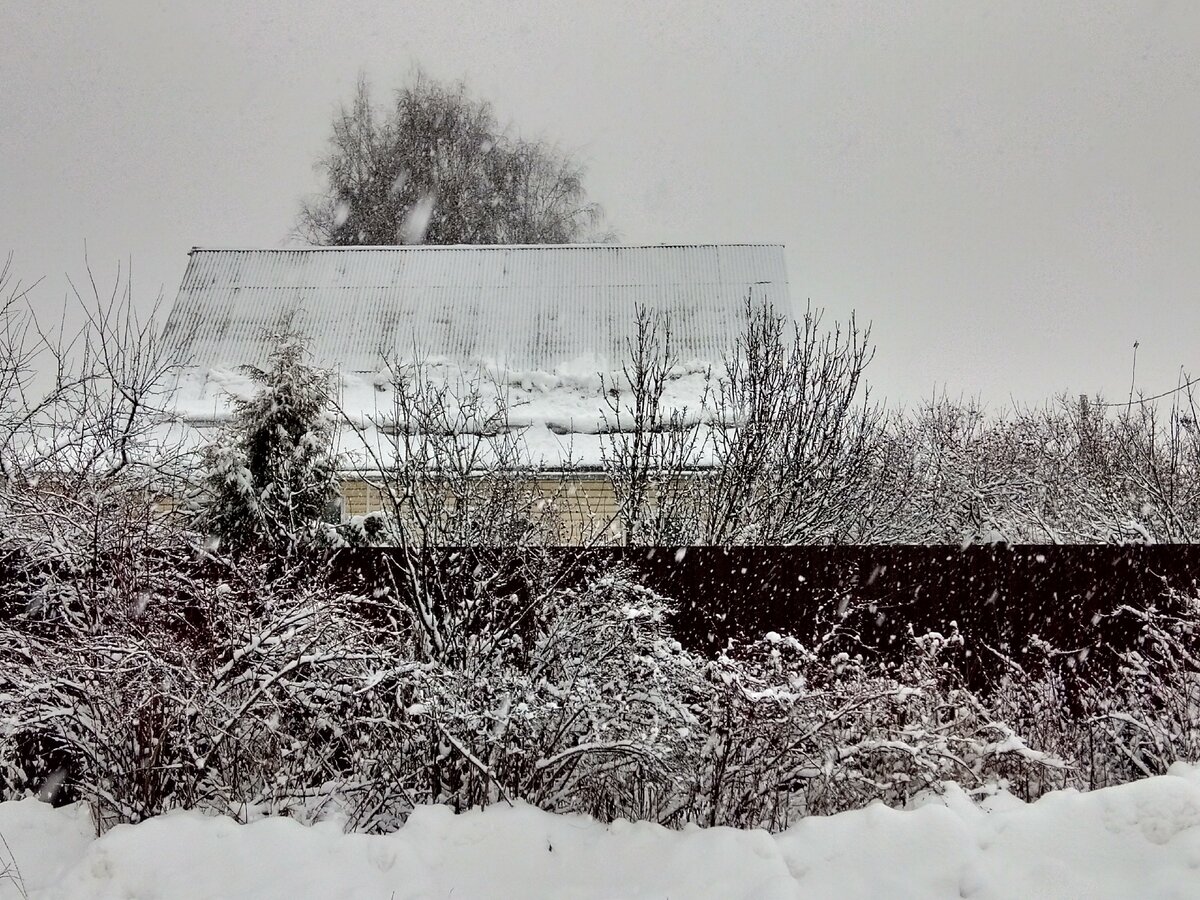 Фото автора. Зима в подмосковном селе.