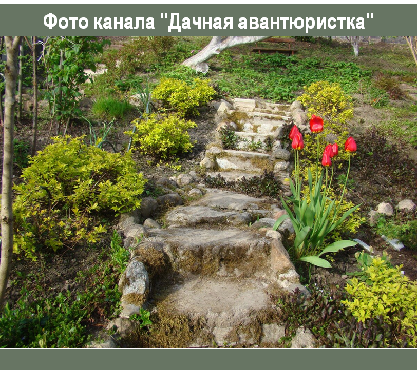 https://zen.yandex.ru/media/id/5ff2ce801866f8275a9f4a60/davaite-poznakomimsia-sad-dachnoi-avantiuristki-5ff4055ef906b168720ea2a2