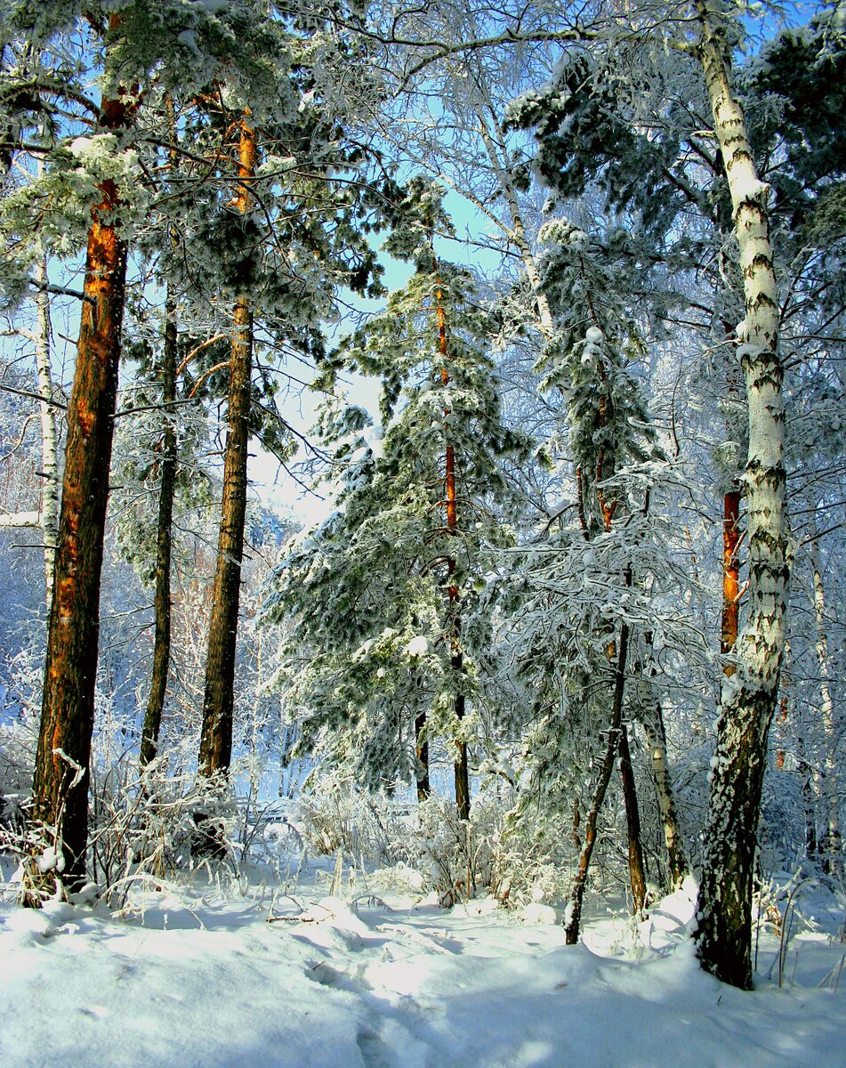 Фотография. стихотворение Василия Глуцкого