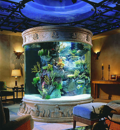 Как использовать аквариум в дизайне интерьера - советы дизайнеров | Perspectiva |