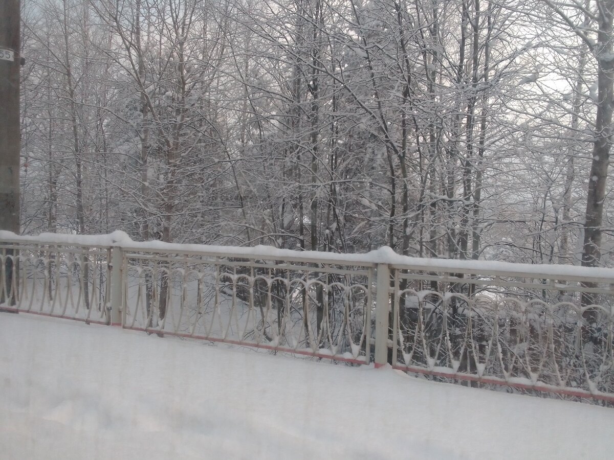 из окна электропоезда Санкт-Петербург - Приозерск