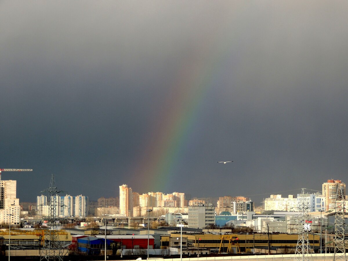 Несбывшиеся надежды...