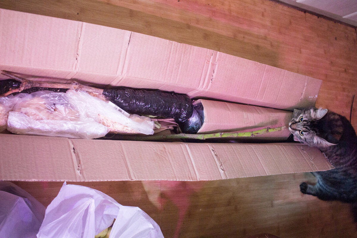 директор квартиры проверяет, все ли по списку ))