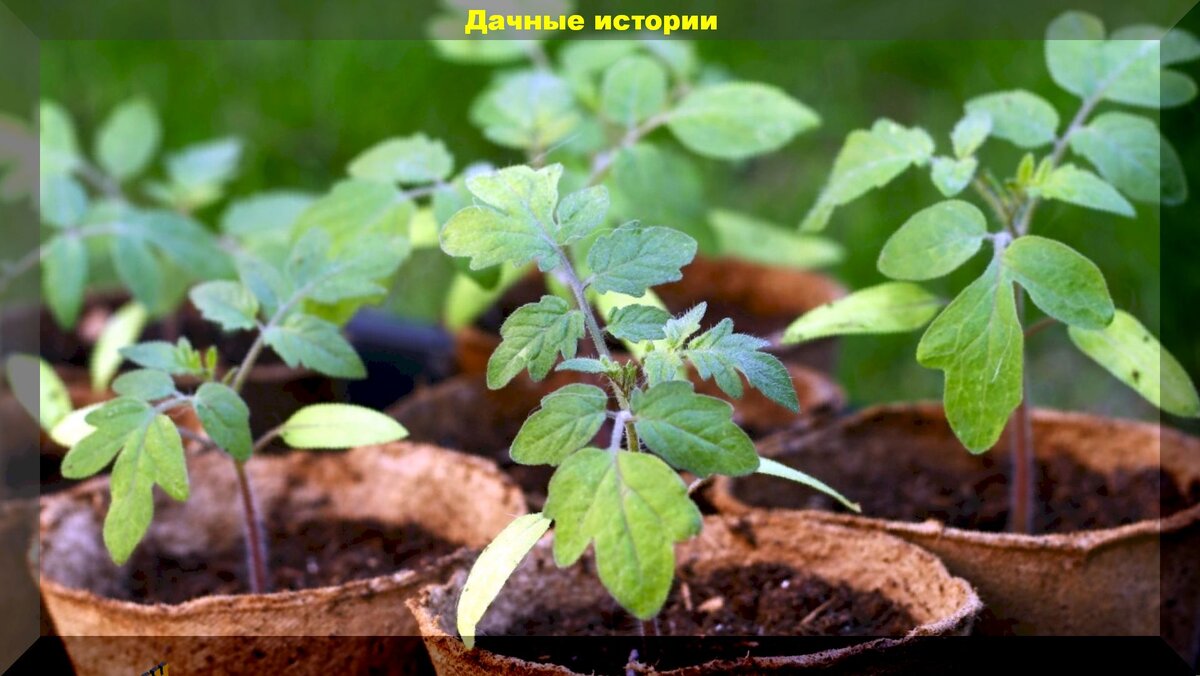 https://vk.com/photo-159774511_457245261