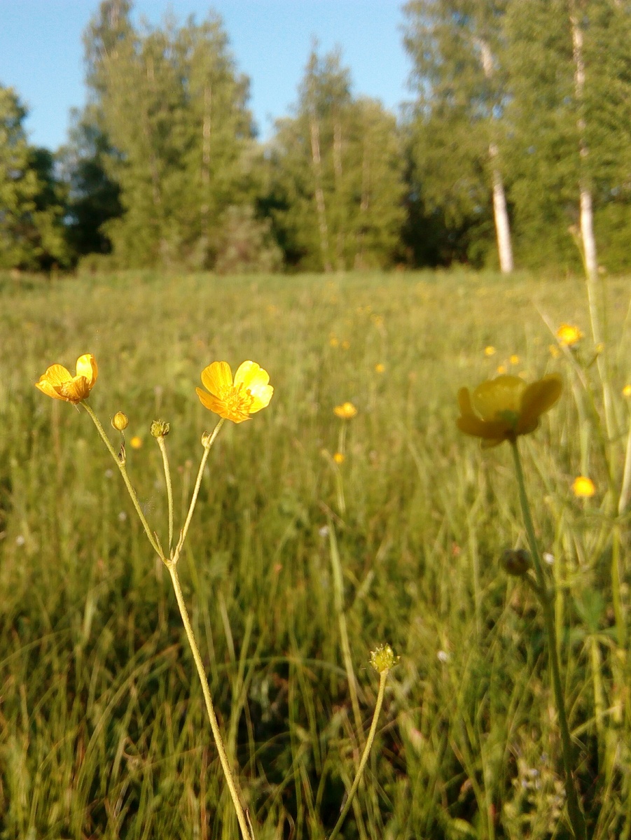 из личного архива