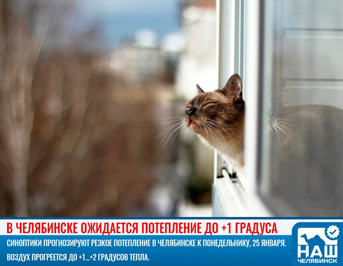Картинка скоро весна