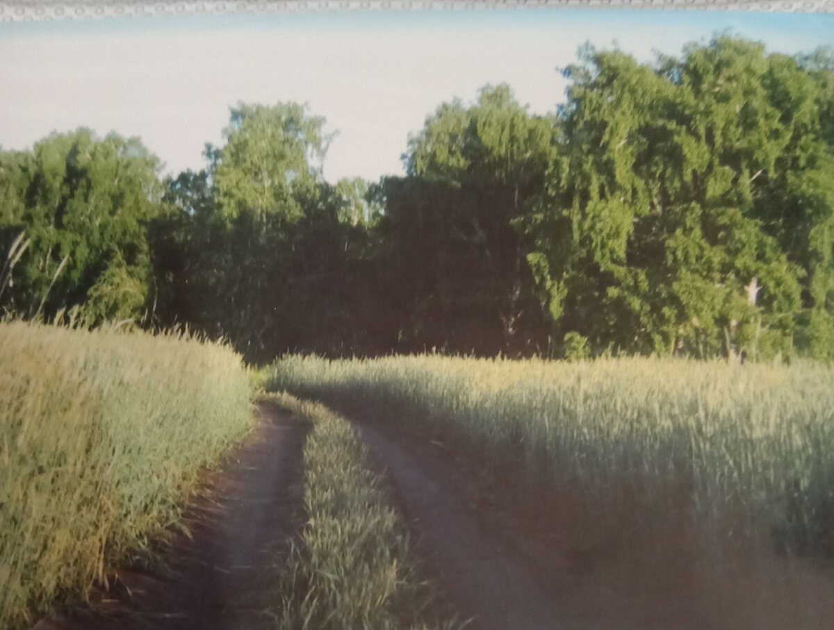 Моя родина ( фото автора)