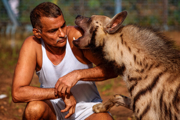 Фото из Yandex