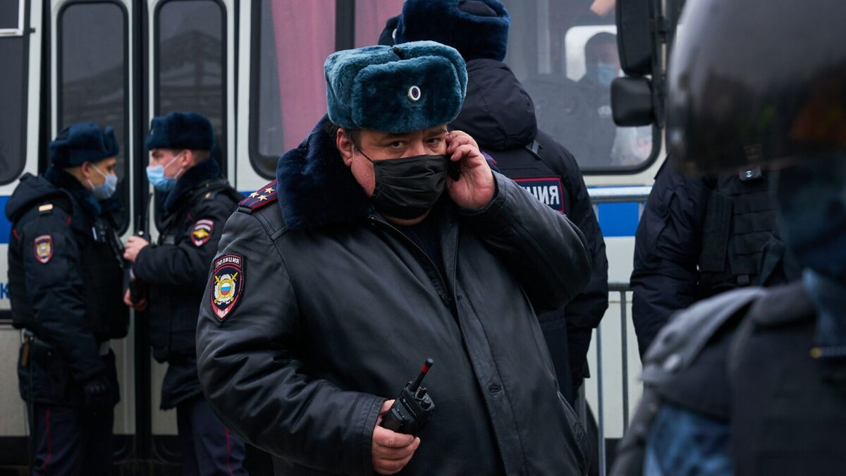 МВД РФ