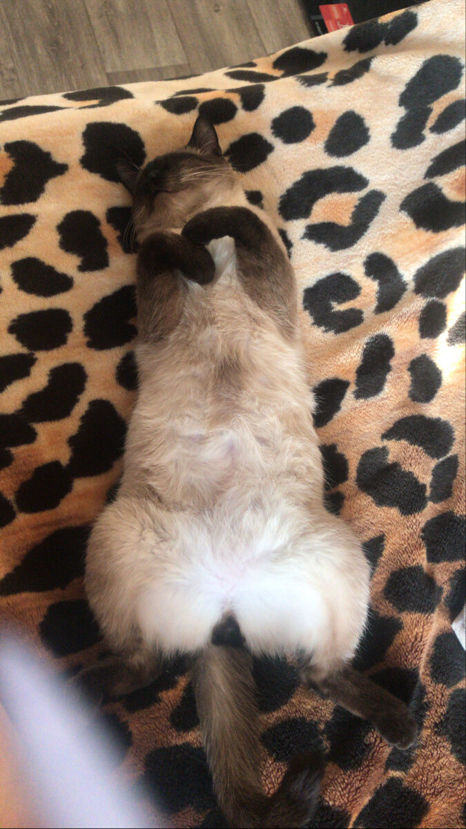 Расслабон и полное доверие