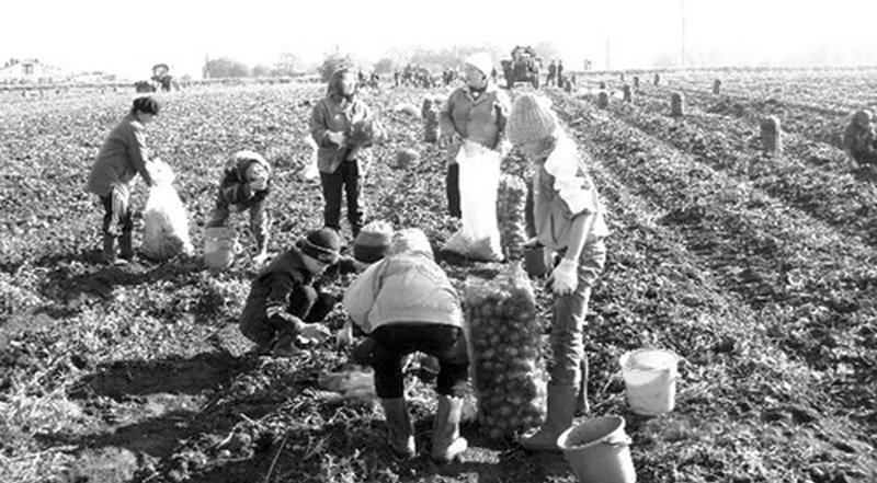 источник: https://fishki.net/3602063-smeshnye-i-poznavatelynye-kartinki/gallery-8713093-photo.html