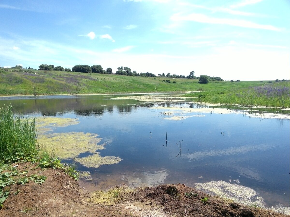 Место в нашей деревне, где мобильный интернет "не ловит" 🎣