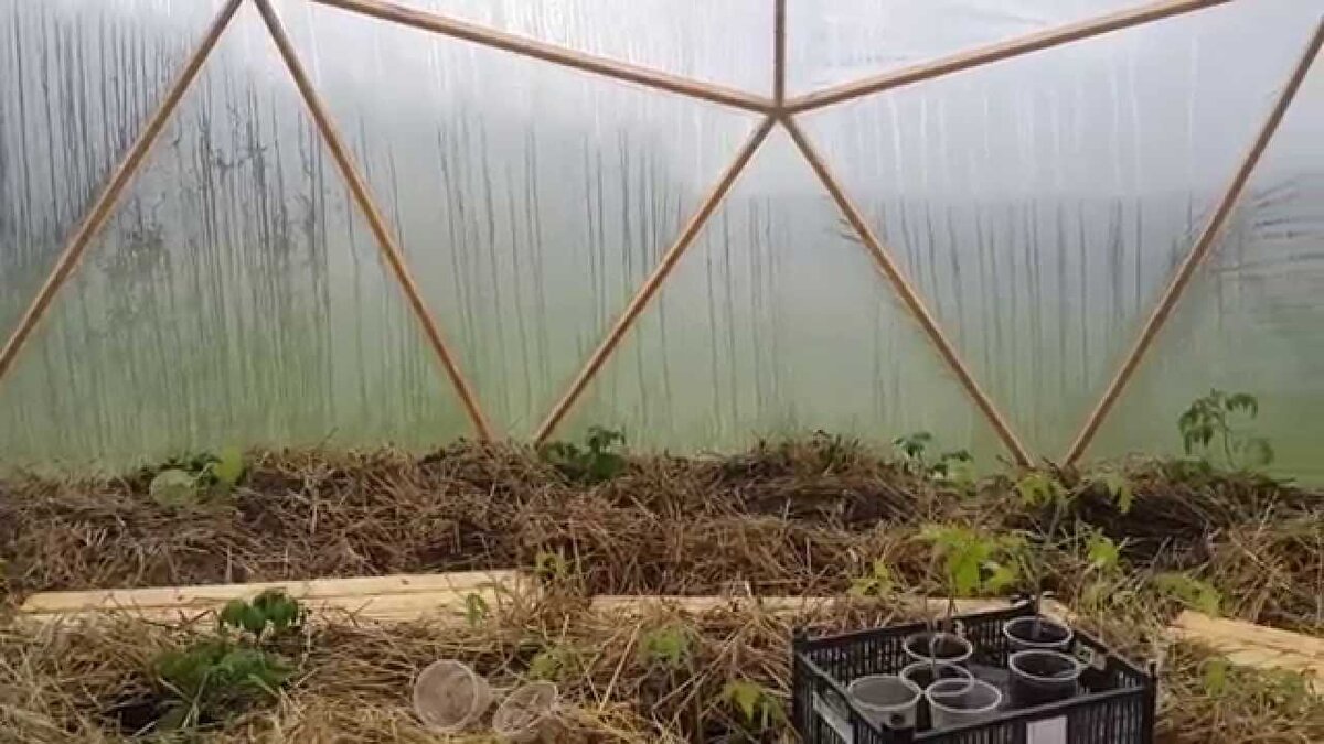 Когда ваша теплица вдруг вспотела