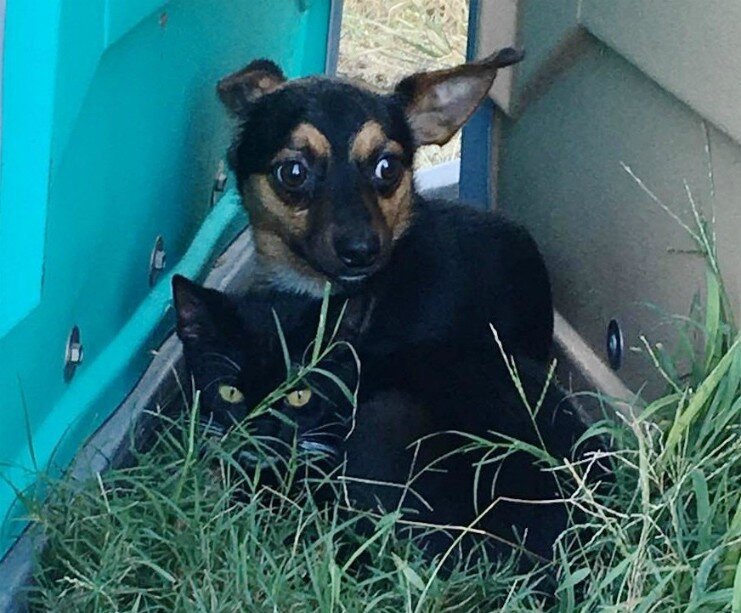 Все остальные фотографии взяты из открытых источников интернета