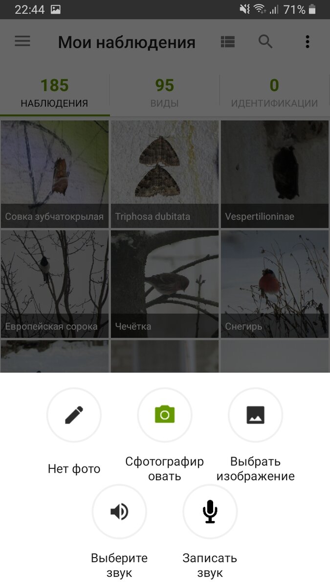 Шаг 1: добавляем новое наблюдение