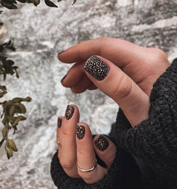 Источник фото Instagram.com для ознакомительных целей