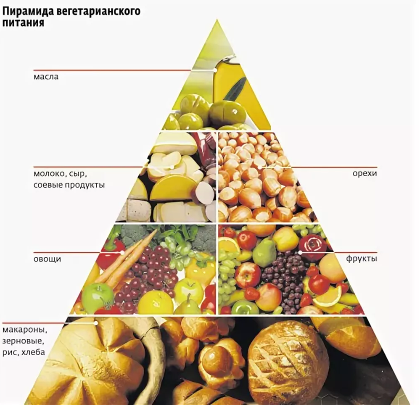 Вегетарианская пирамида питания. Питание вегетарианца. Вегетарианский рацион питания. Рацион питания вегетарианца. Подходит вегану