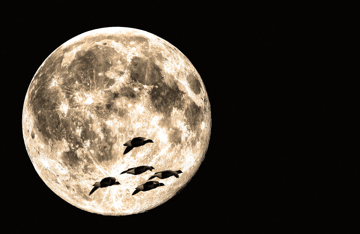 Суеверия в сторону: как Луна влияет на наше здоровье, настроение и поведение