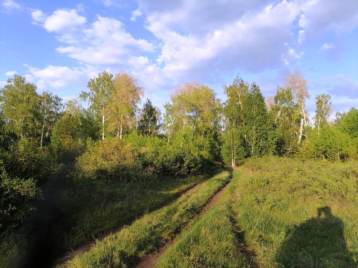 Там за деревьями должна быть ферма