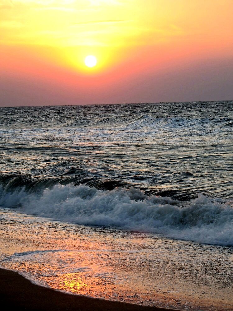 Азовское море (фото из открытого источника)