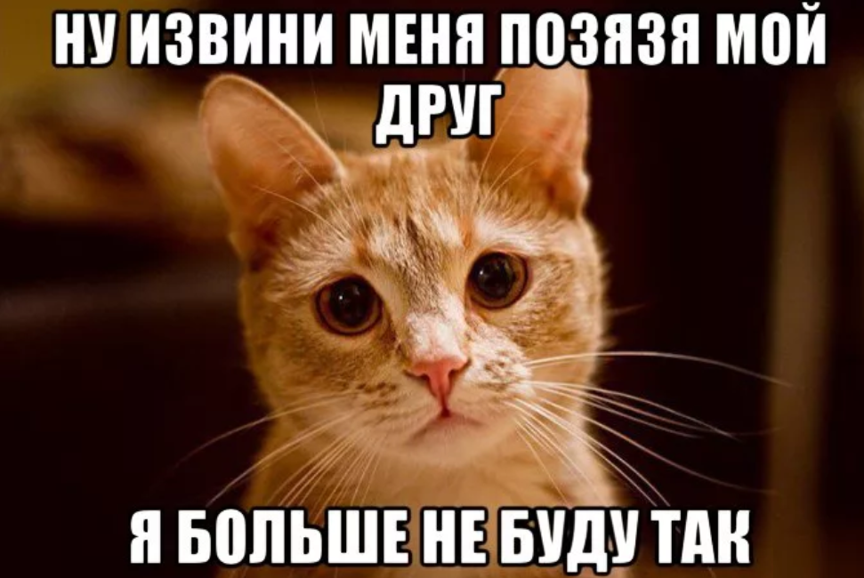 Кот стал злым Shtampik.com