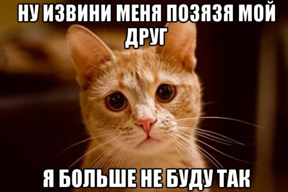 Создать мем "грустный котик, котики мемы, плачущие коты" - Картинки - Meme-arsen